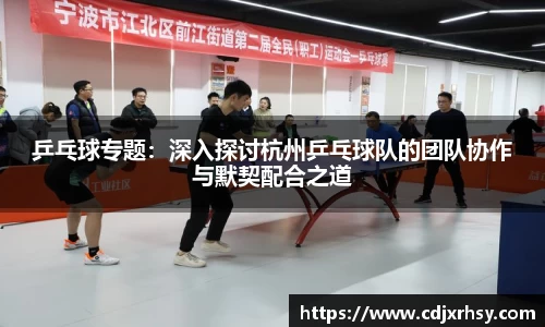 乒乓球专题：深入探讨杭州乒乓球队的团队协作与默契配合之道