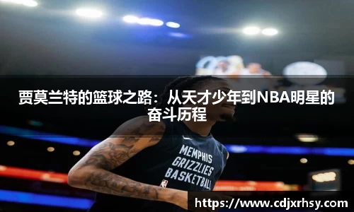 乐竞体育网址